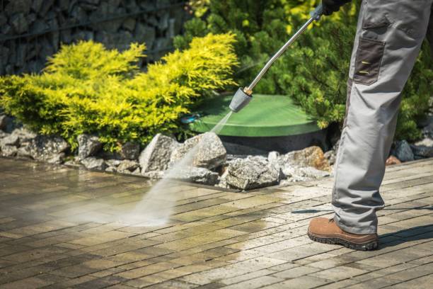 Best Winterizing Services  in West Frankfort, IL