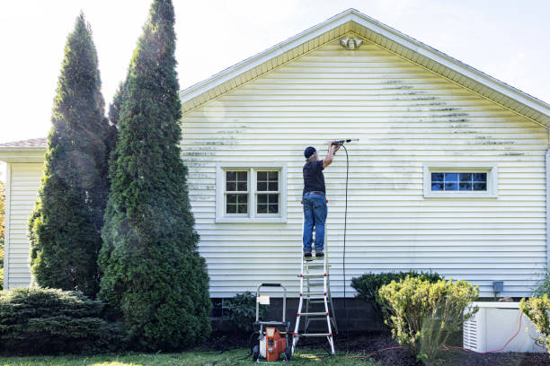 Best Solar Panel Cleaning  in West Frankfort, IL